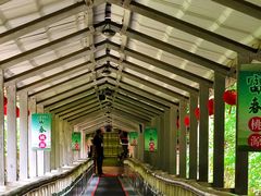-富春桃源风景区