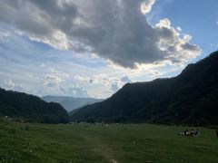 -狮子沟牧场