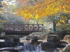 -中国茶叶博物馆(双峰馆区)