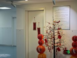 -温州伯思立医院