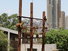 -昆明动物园