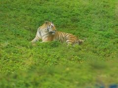 -西安秦岭野生动物园