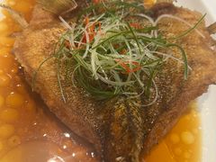 -望乡楼上海菜(日月光店)