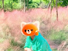 -嘉北郊野公园
