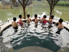 -美的鹭湖森林度假区