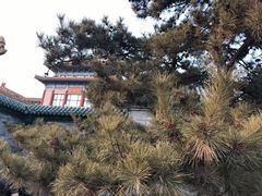 -中国紫檀博物馆