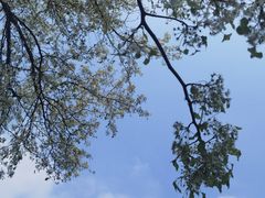 -盘龙城国家考古遗址公园