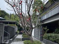 -明谷行馆·温泉