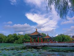 -长春市南湖公园