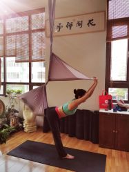 -花间禅净·瑜伽