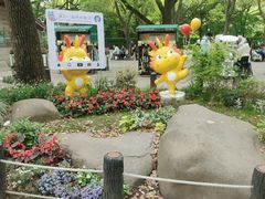 -上海共青森林公园