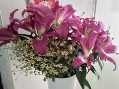 -循礼门鲜花花市(武汉循礼门店)