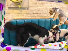 -My Way Town买味堂·东南亚餐厅(亦庄店)