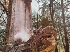 -灵谷景区