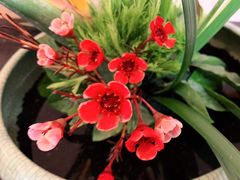 -旺顺阁海鲜广场(亚运村店)