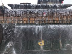 -北京呀路古热带植物园