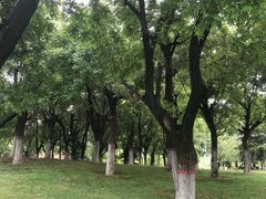 -洨河生态公园