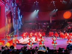 -珠海横琴长隆《卡卡虎奇遇记》