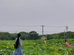 -嘉北郊野公园