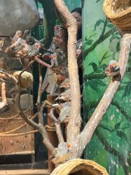 -Zoolung Zoolung动物主题公园(海信广场店)