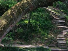 -宁波市保国寺古建筑博物馆