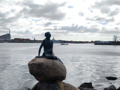 -美人鱼