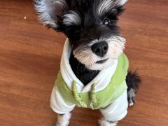 -FAELING PETS美天灵宠物(富力广场店)