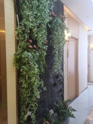 -芳朵美容养生SPA