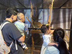 -酷嗒动物文化乐园(cutezoo西溪乐天城店)