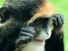 -杭州野生动物世界