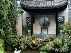 -东莞植物园
