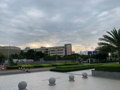 -南方医科大学深圳医院