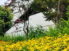 -安仁古镇
