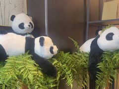 -了凡国风主题茶馆·咖啡(武侯祠锦里店)