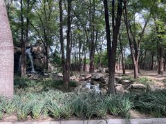 -北京野生动物园