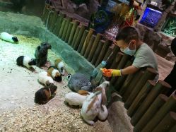 -宝燕乐园(闵行旗舰店)