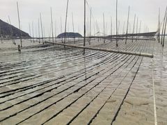 -小皓村