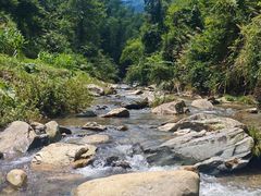 -青城山