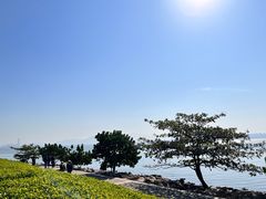 -深圳湾公园(南山区)