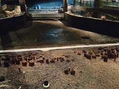 -元代水闸遗址博物馆