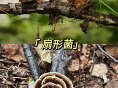-灵山