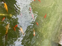 -海天楼中餐厅(吴宫泛太平洋酒店)