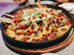 -老板恋上鱼(恒隆广场店)