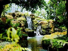 -Chom Cafe and Restaurant