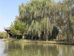 -溱湖国家湿地公园