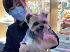-FAELING PETS美天灵宠物(富力广场店)