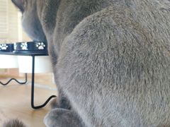 -Me Coffee下午茶艺术空间