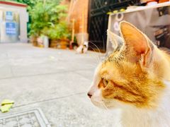 -静安别墅