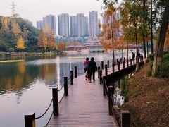 -重庆彩云湖湿地公园