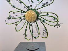 -云溪植物园